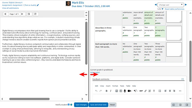 Screenshot of resizing Grader screen